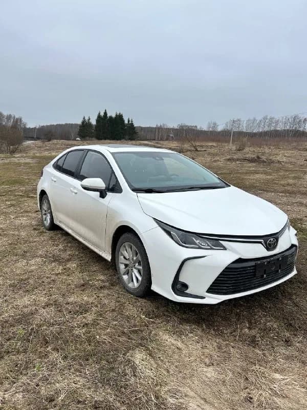 Отзыв 31, доставленный клиенту Asia Trade Car